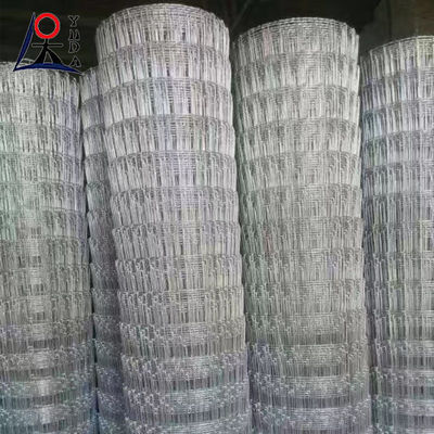Hot Dip Galvanized Field Fence for Grassland and Sheep