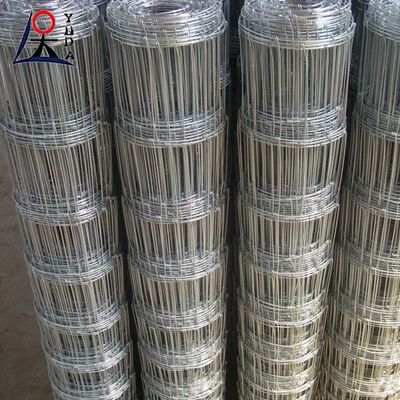 Hot Dip Galvanized Field Fence for Grassland and Sheep