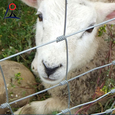 Galvanised Grassland Farm Fence Square Hole Metal Guard Field Fence