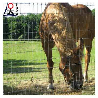 Electro Galvanised Or Hot Dip Galvanised Field Fence Corrosion Resistant