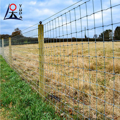 High Tensile Strength Grassland Weave Iron Wire Mesh Field Fence For Farm
