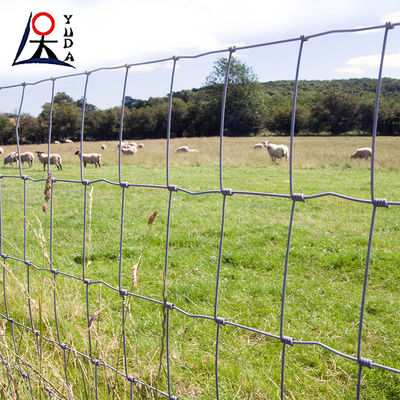 Grassland Mesh Galvanized Cattle Fence / Deer Fence High Tensile Field Fence 50m 100m